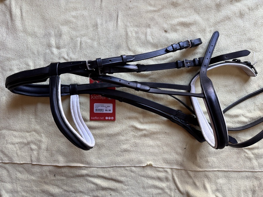 Beautiful black comfort crown double bridle