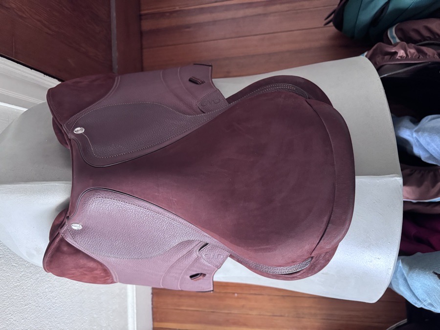 BRAND NEW 17” CWD SE38 Hunter Mademoiselle 2Gs PRO Saddle - 3CH