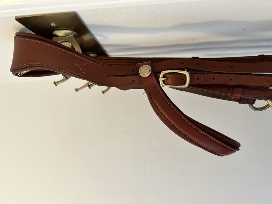 AMIKO & FRIENDS | Bridle and Running Martingale