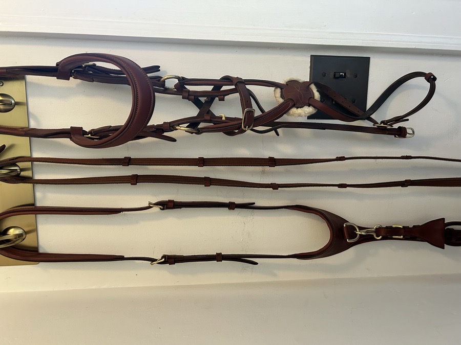 AMIKO & FRIENDS | Bridle and Running Martingale