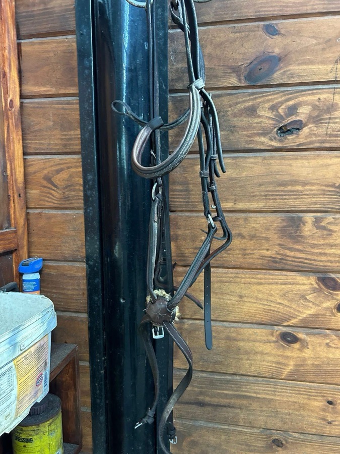 Horse size bridle
