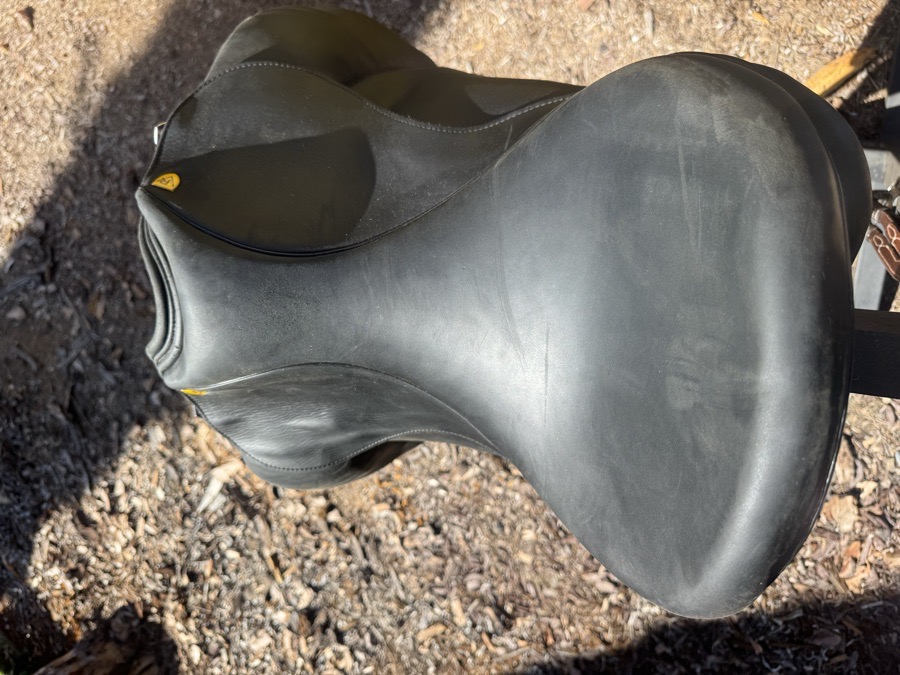 REVERE SADDLERY | 17" | 4.75" Tree Size | 2020