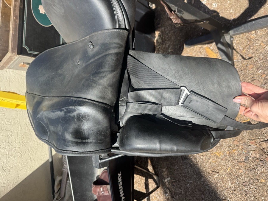 REVERE SADDLERY | 17" | 4.75" Tree Size | 2020