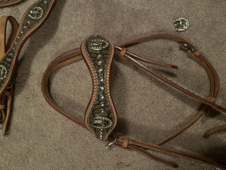 Bridle and Breastplate set