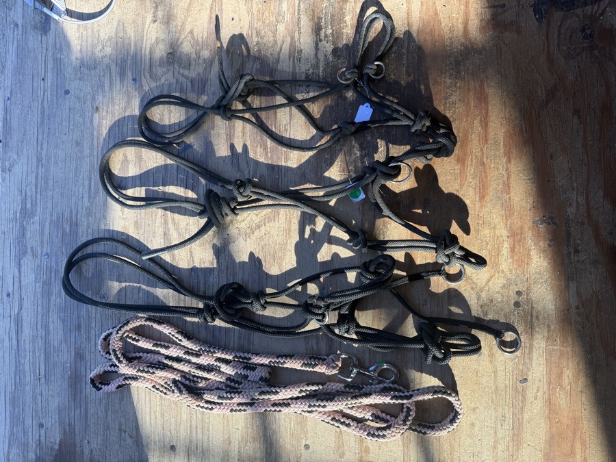 lot of rope halter sidepulls