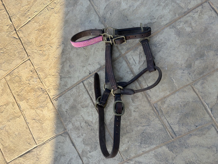 DOVER SADDLERY Halter/Rope Horse
