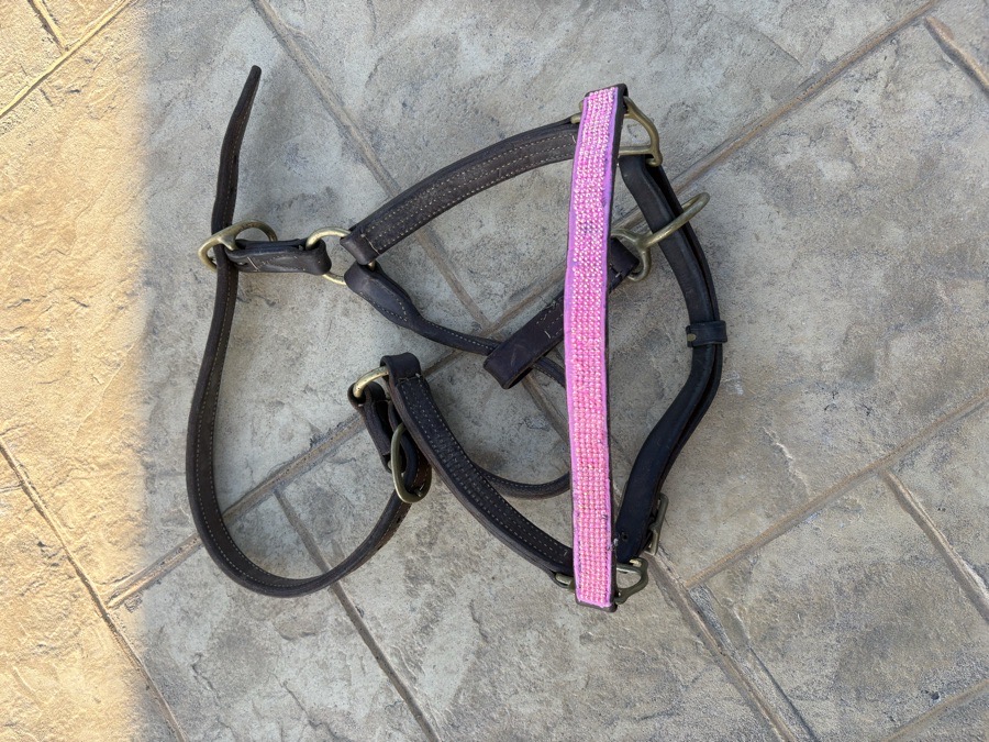 DOVER SADDLERY Halter/Rope Horse