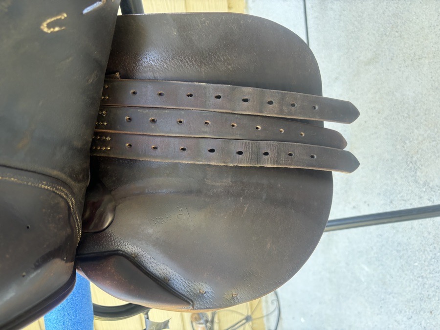 Bruno delgrange saddle