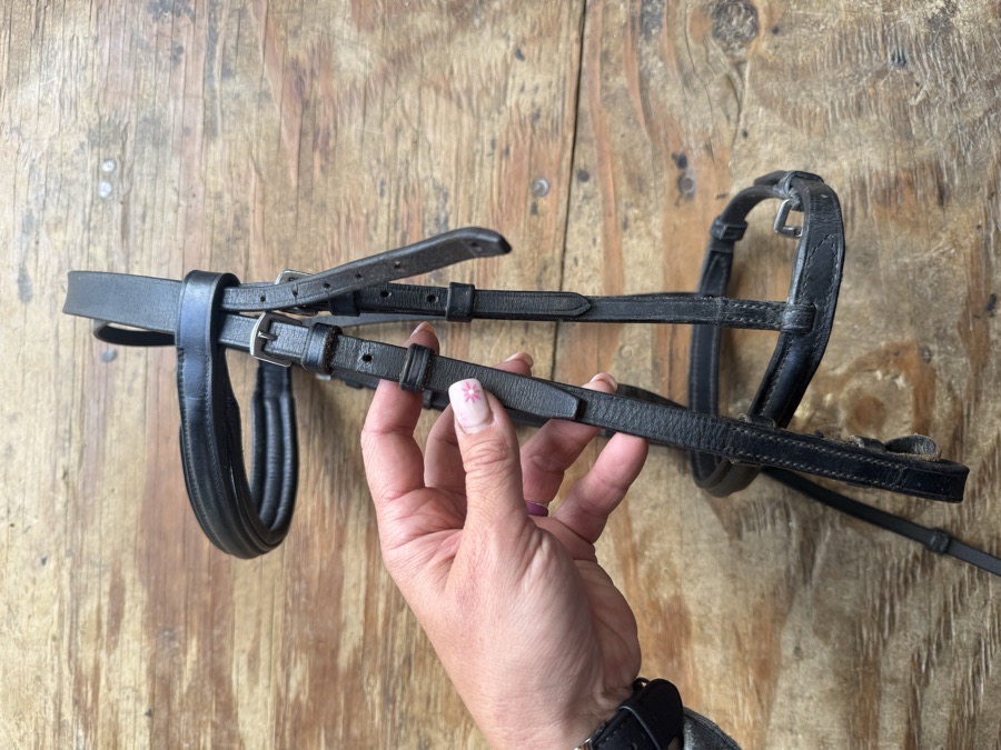 Black pony sized bridle