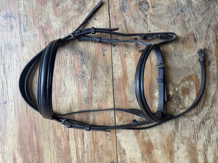 Black pony sized bridle