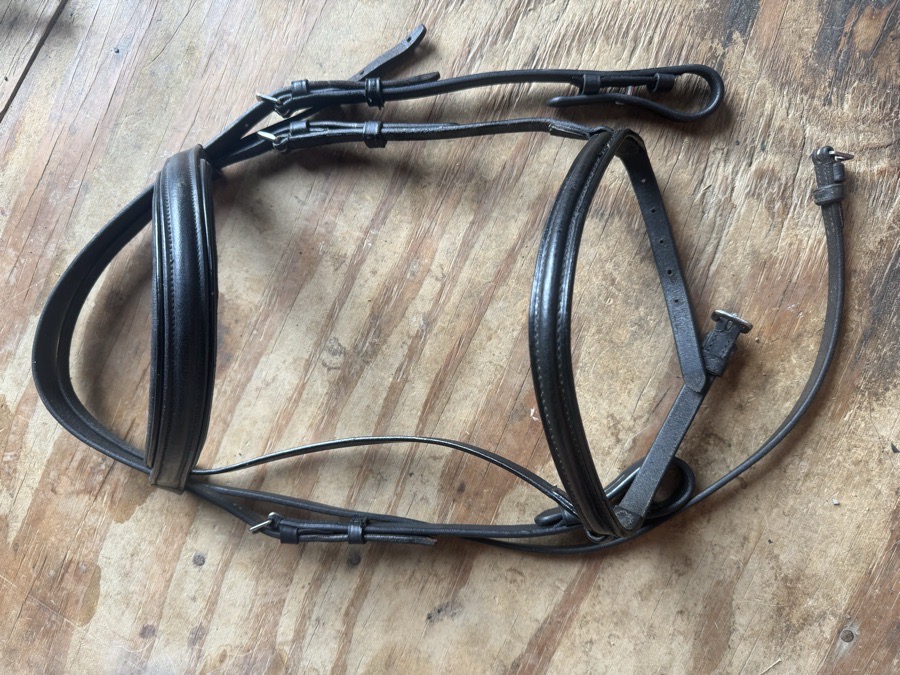 Black pony sized bridle