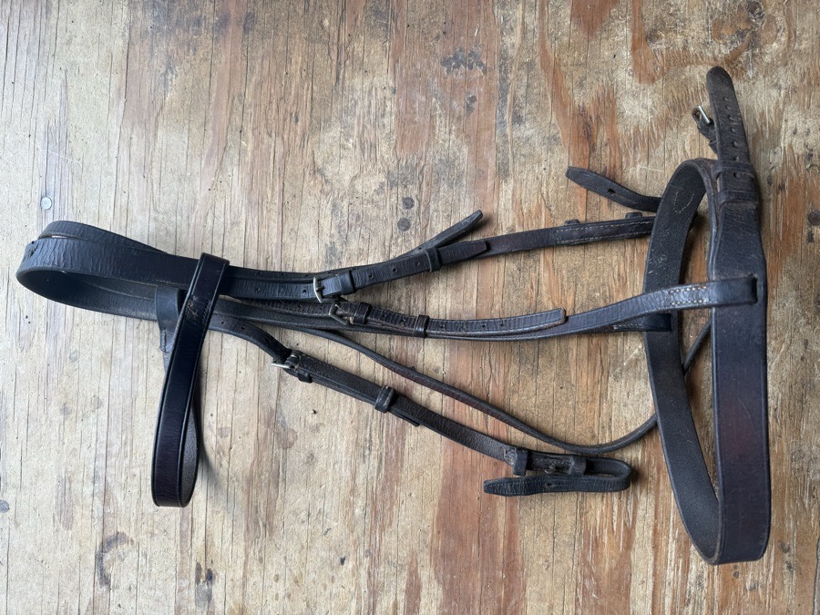 full sized hunt bridle