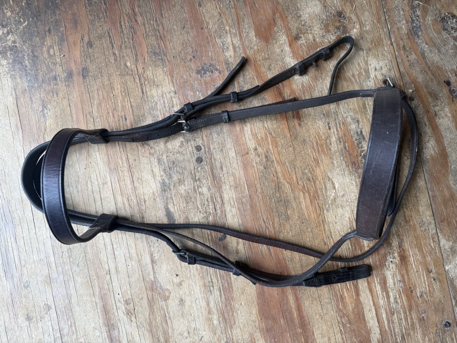 full sized hunt bridle