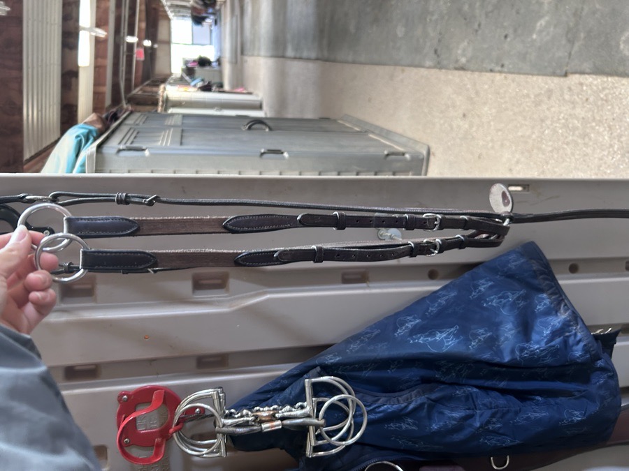 Running martingale