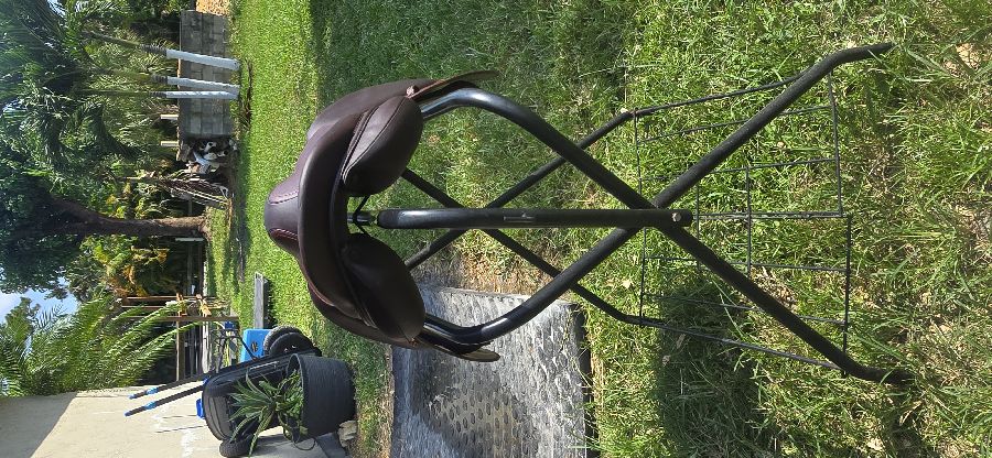 DEVOUCOUX Biarritz O | 17.5" 2A | 4.5" Tree Size | 2025