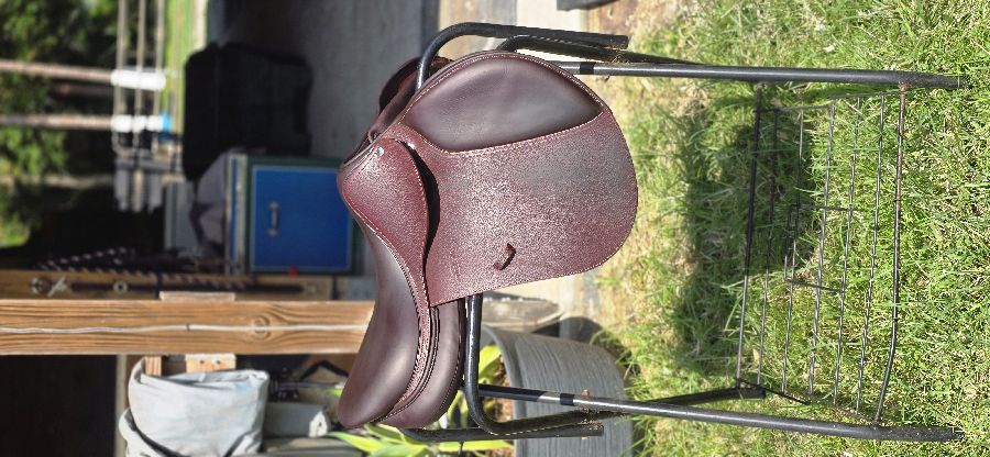 DEVOUCOUX Biarritz O | 17.5" 2A | 4.5" Tree Size | 2025