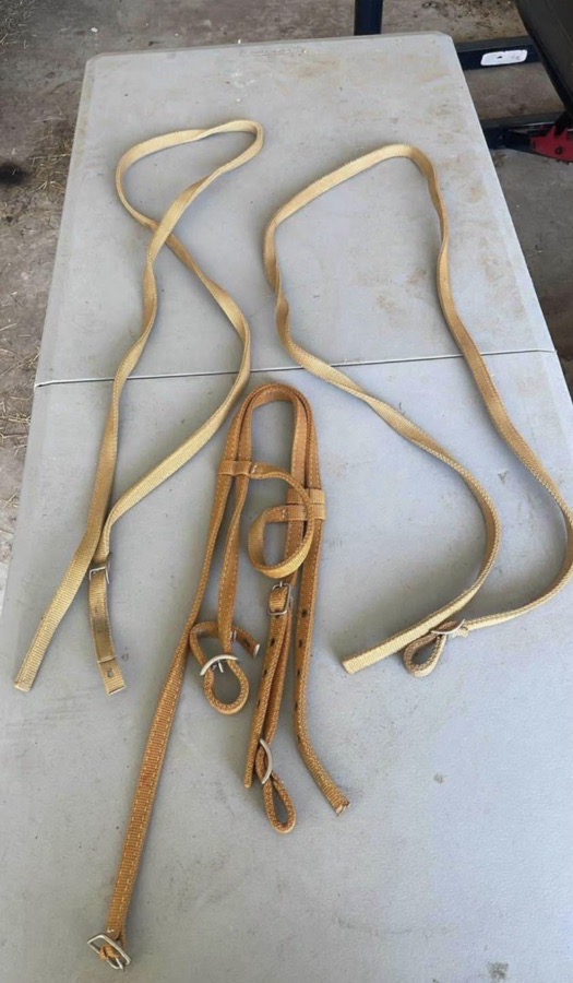 WEAVER LEATHER Bridle Horse