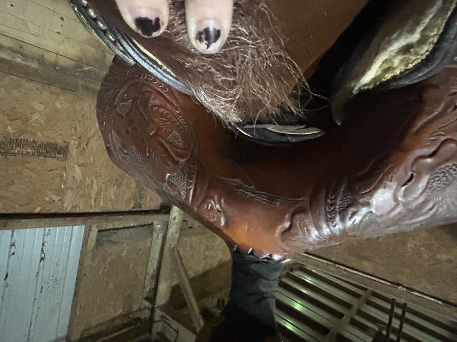 TexTan Western Barrel/Trail saddle