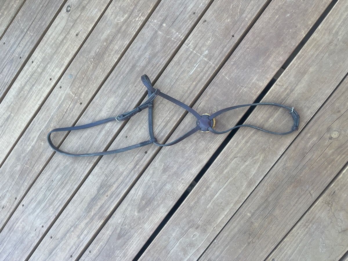 Tory figure 8 noseband 