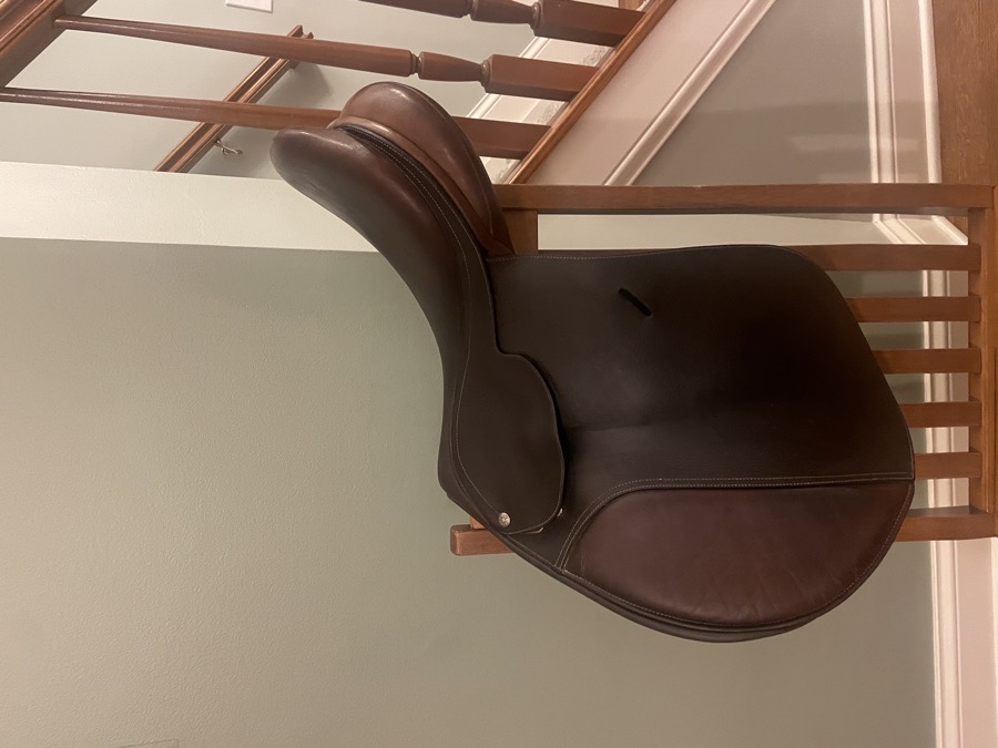 Collegiate Convertable Saddle