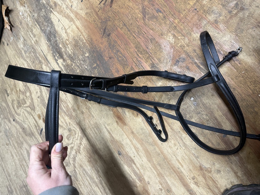 Black oversized bridle