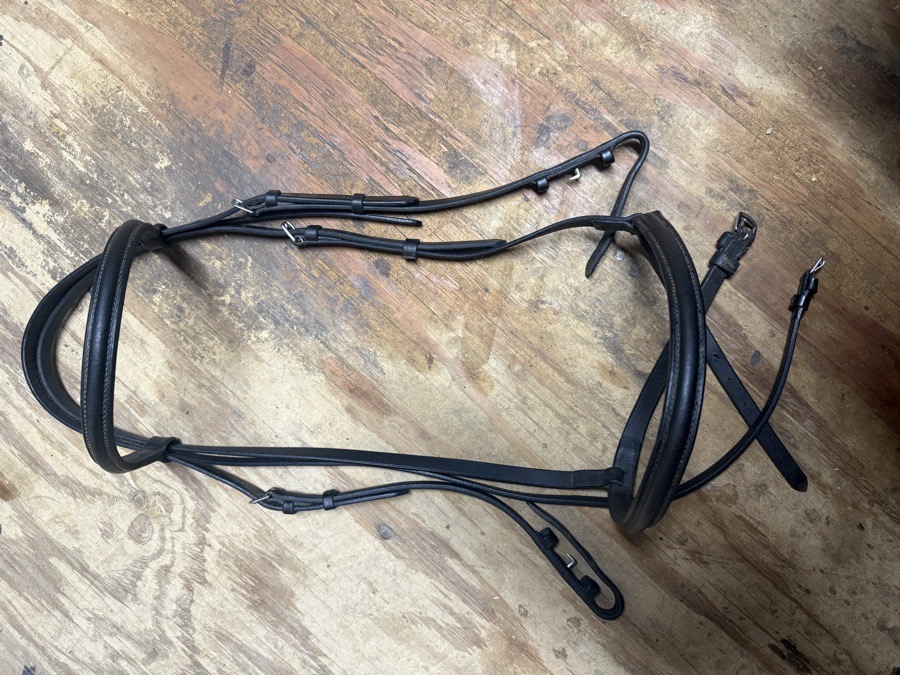 Black oversized bridle