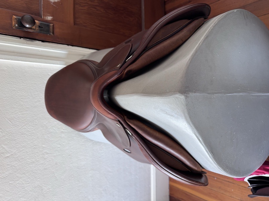 17.5” Antares Saddle - 3L - Grain / Calf - Excellent!