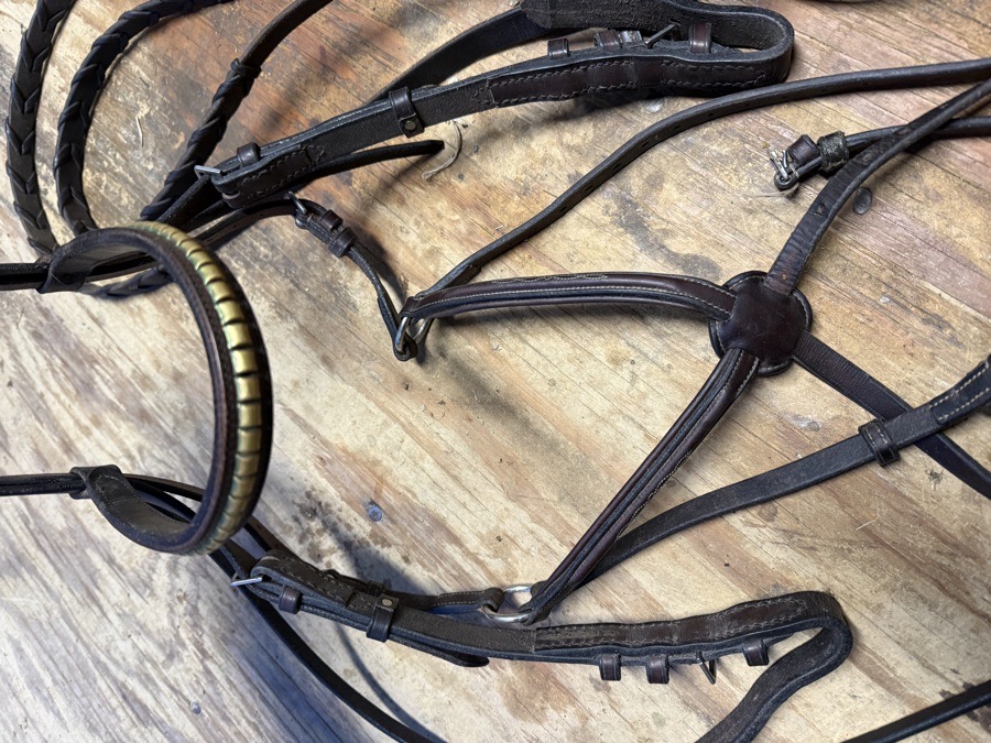 Oversized figure 8 bridle and reins