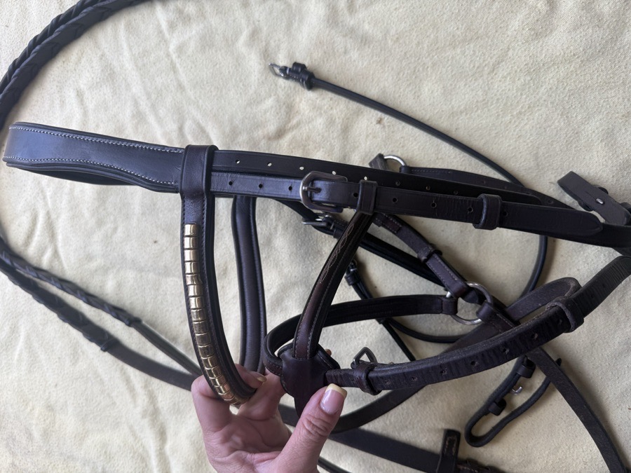 Oversized figure 8 bridle