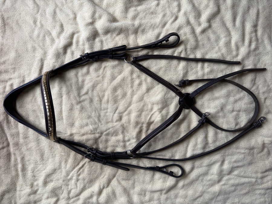 Oversized figure 8 bridle