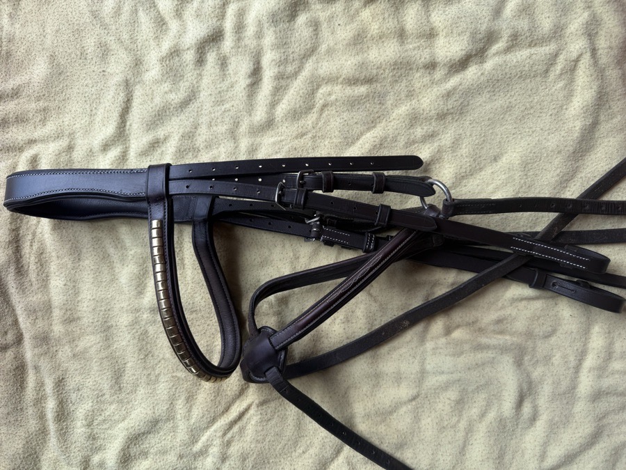 Oversized figure 8 bridle