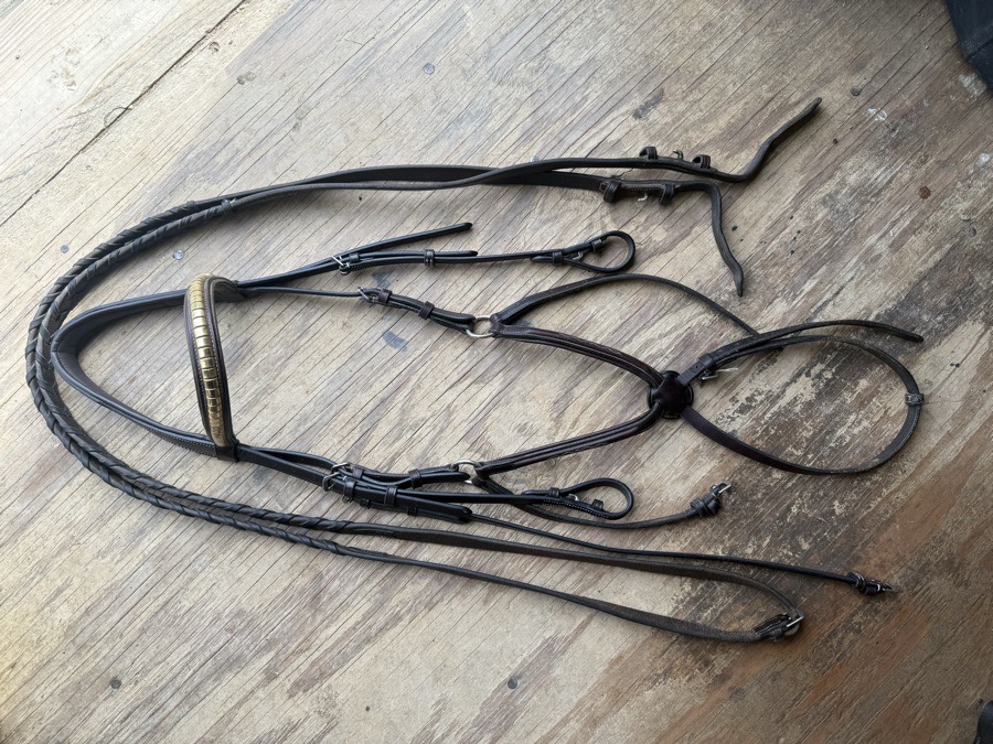 Oversized figure 8 bridle and reins