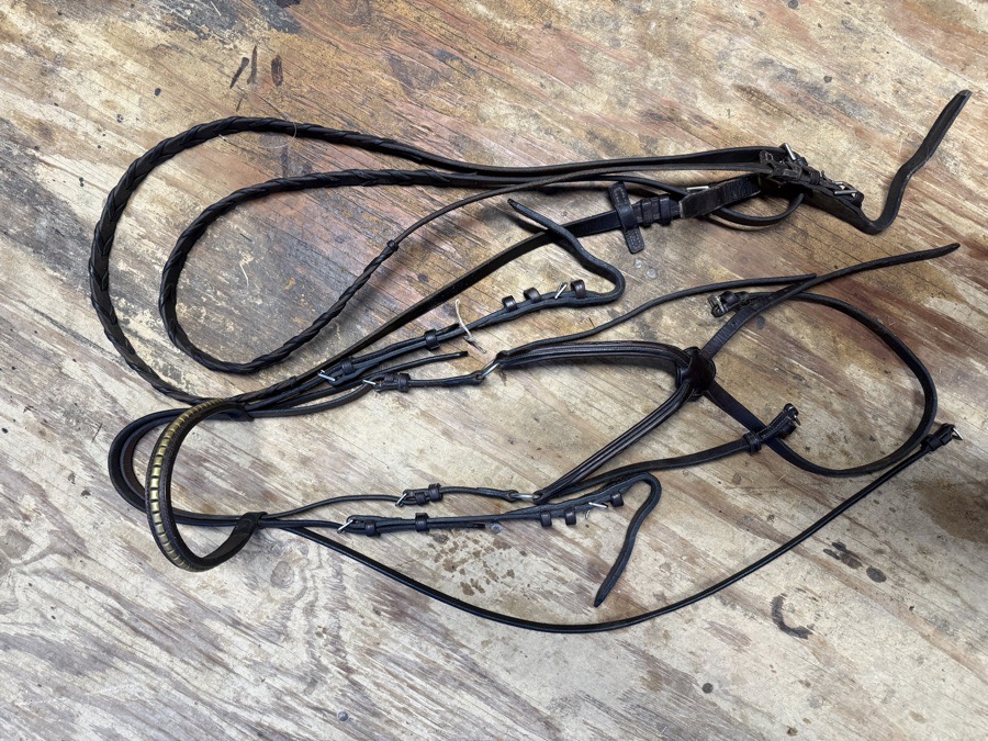 Oversized figure 8 bridle and reins