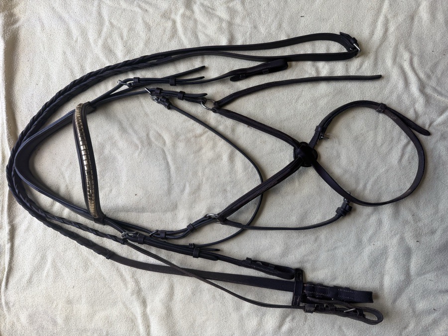 Oversized figure 8 bridle