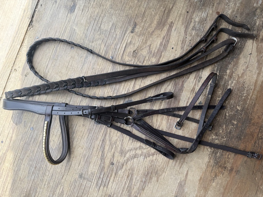 Oversized figure 8 bridle and reins