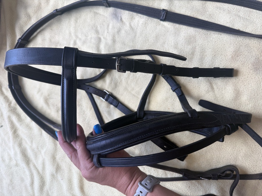 cob sized flash bridle