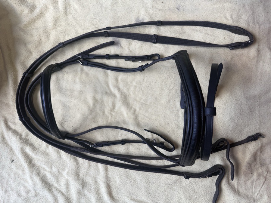 cob sized flash bridle
