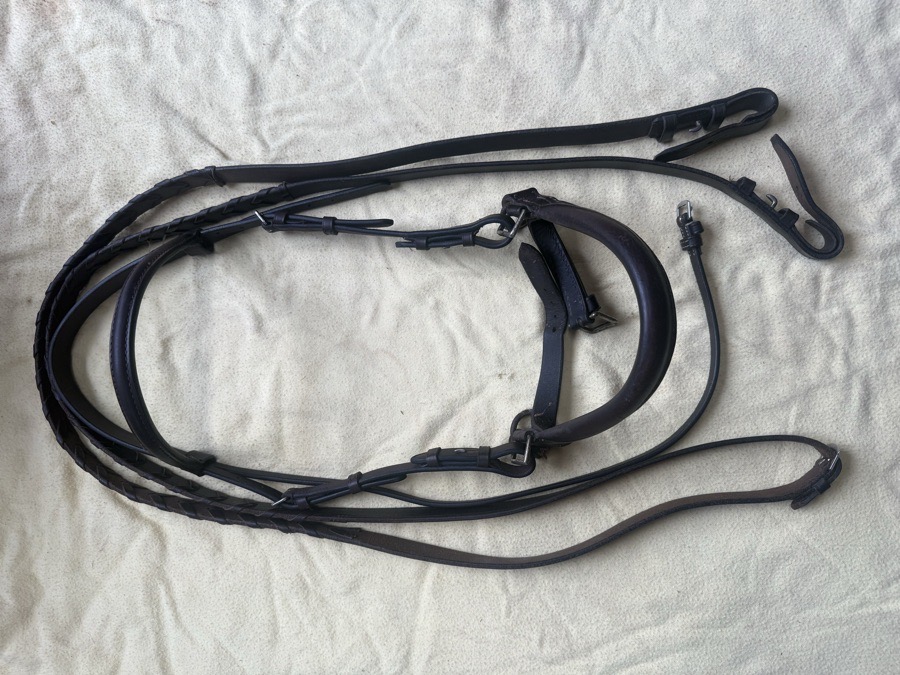 cob sidepull bridle