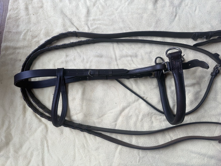 cob sidepull bridle