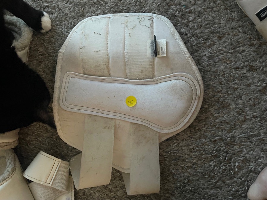 Requisite brushing boots 