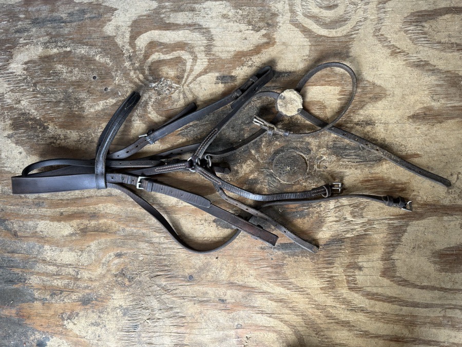 Oversized figure 8 bridle 