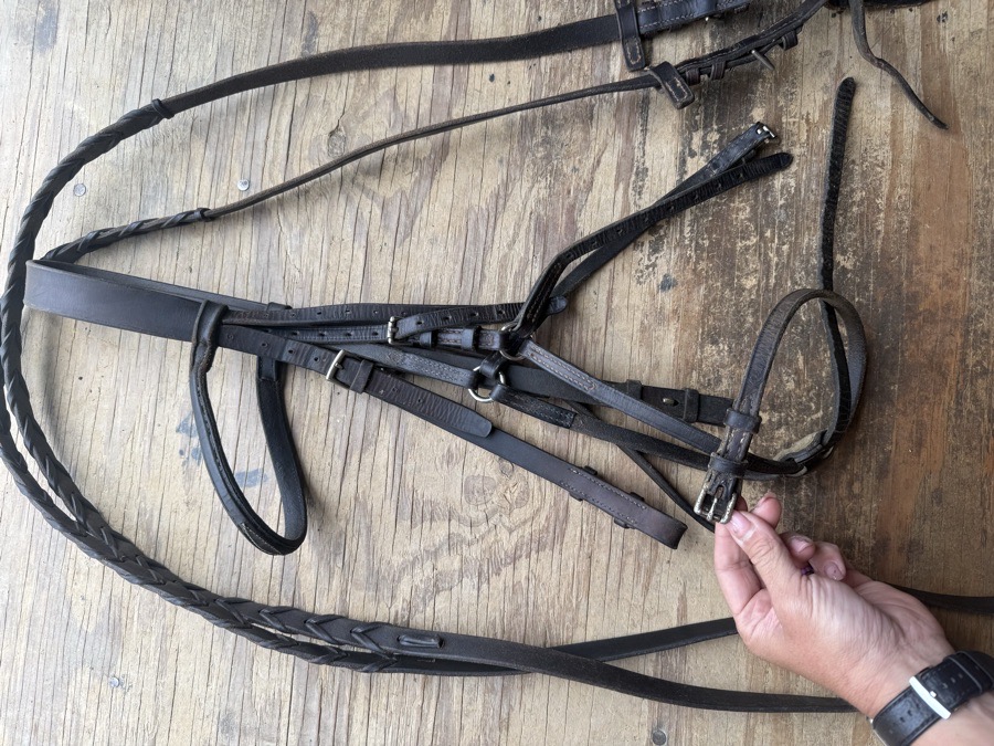 Oversized figure 8 bridle 