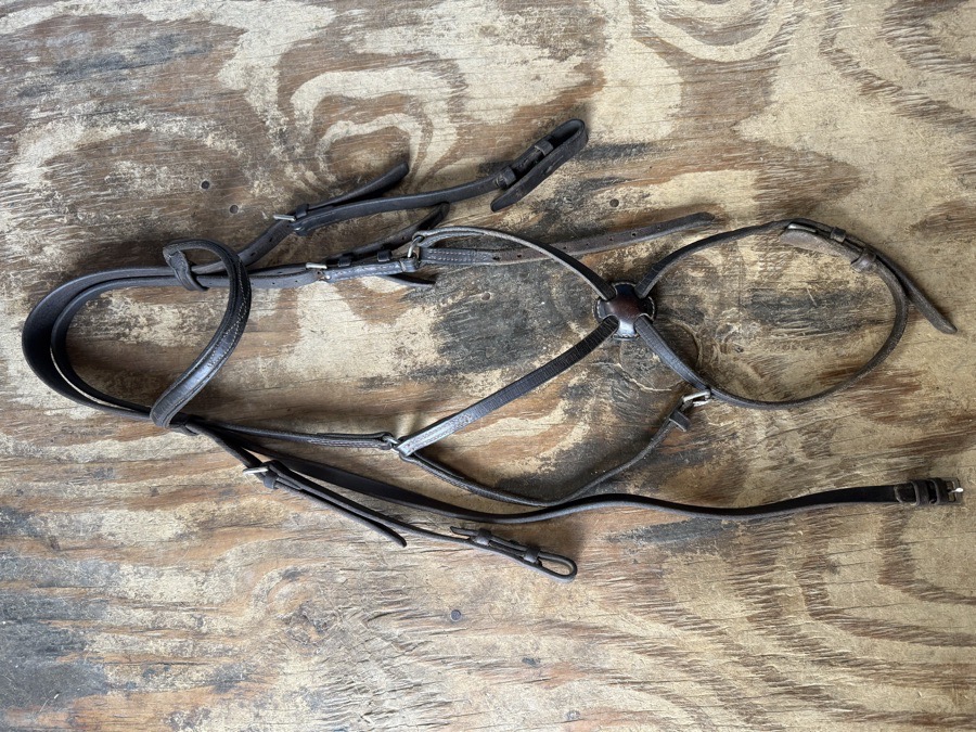 Oversized figure 8 bridle 