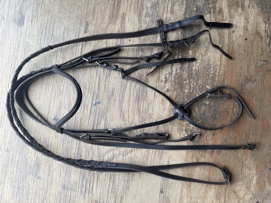 Oversized figure 8 bridle 