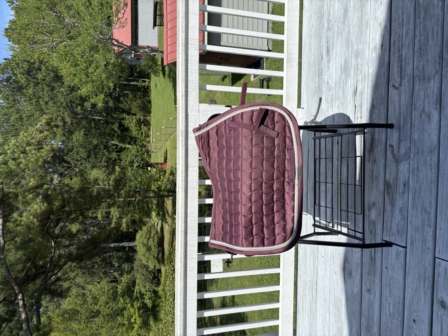 B Vertigo saddle pad