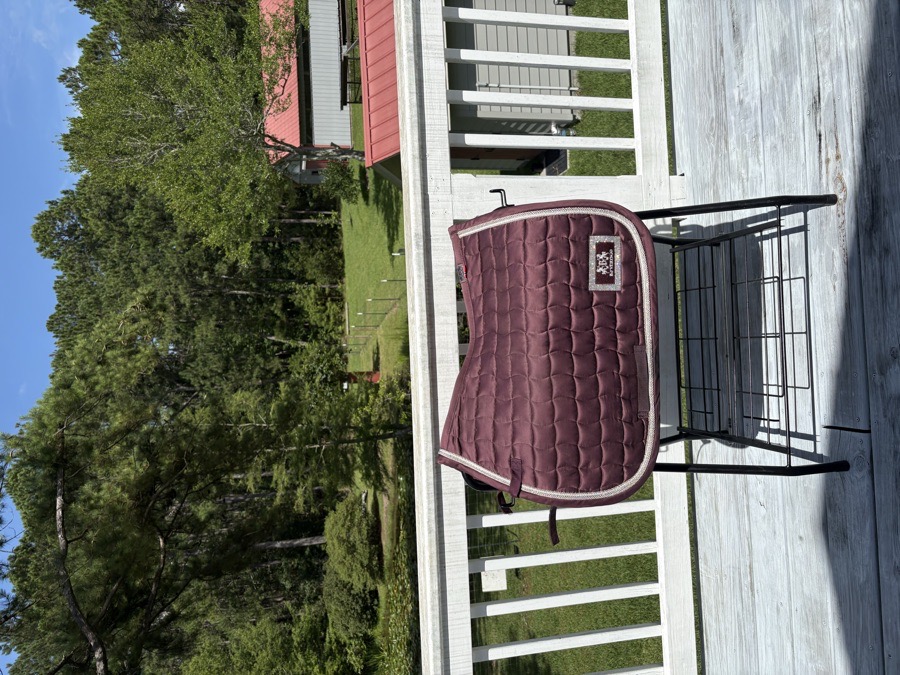 B Vertigo saddle pad