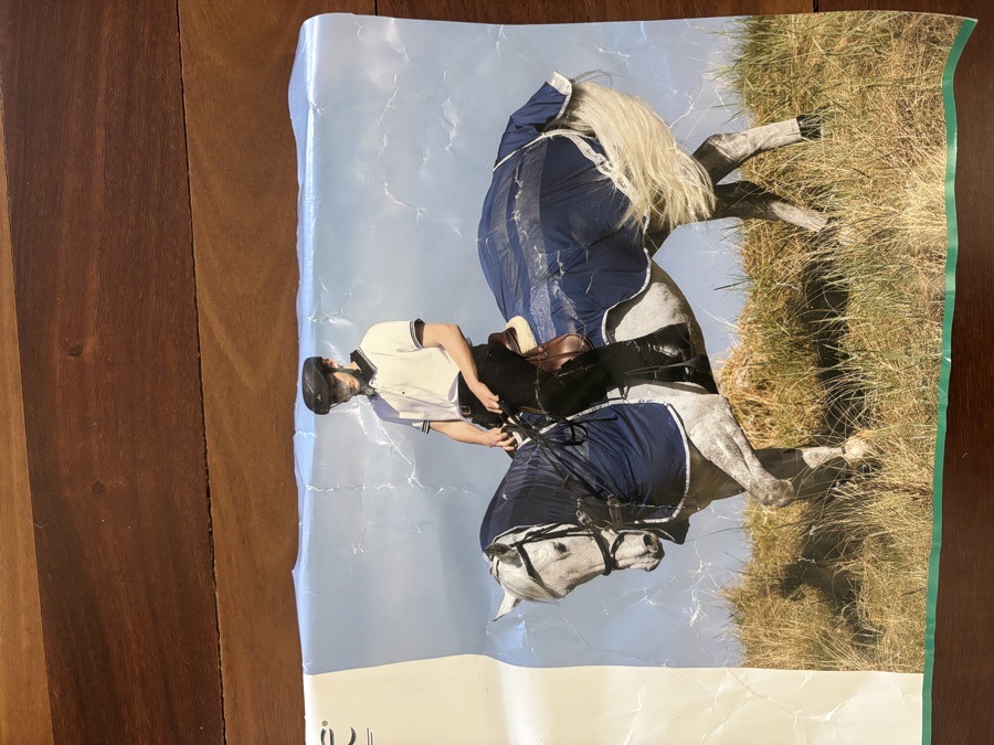 Horseware Amigo Flyrider