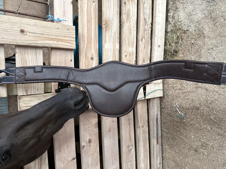 DOVER belly guard girth