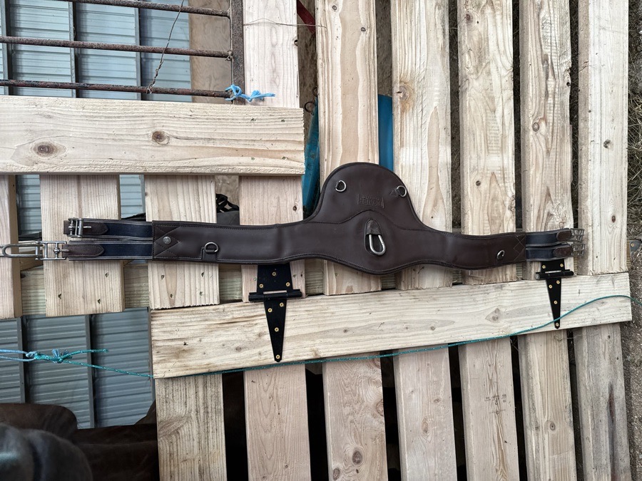 DOVER belly guard girth