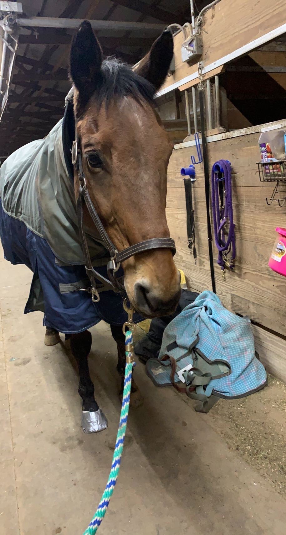 Northwind Heavyweight 78”